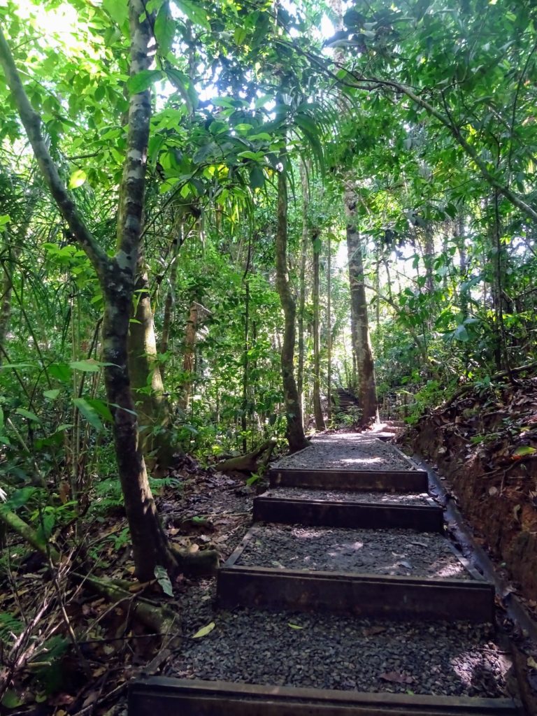 Costa Rica Manuel Antonio National park land10