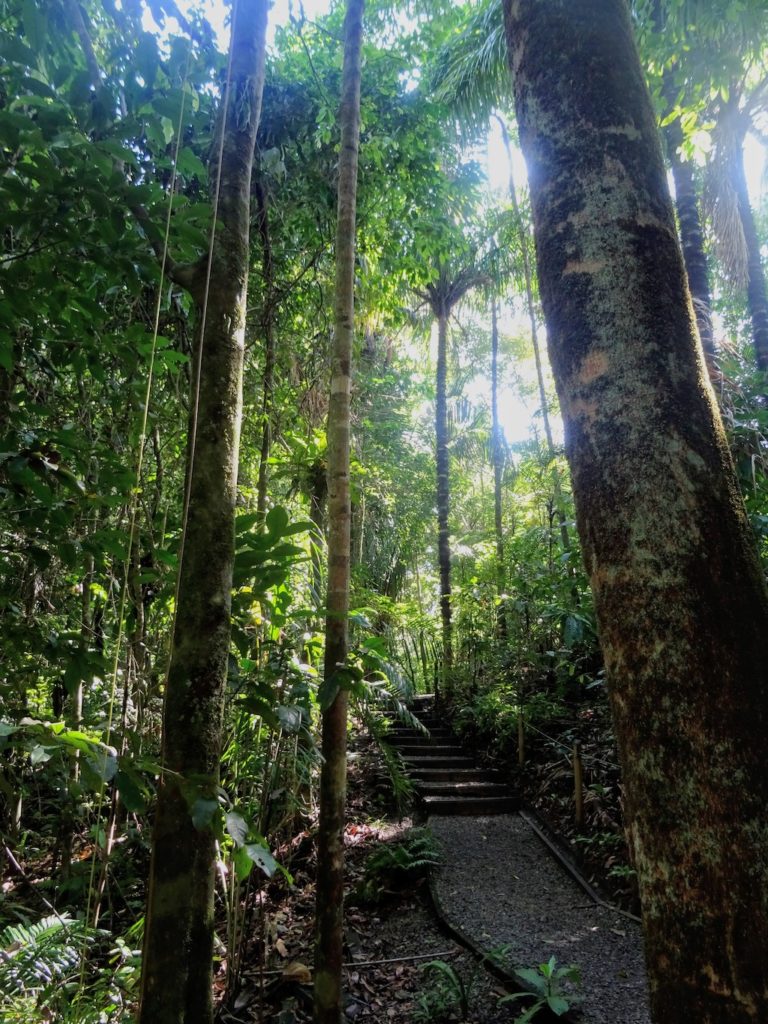 Costa Rica Manuel Antonio National park land11