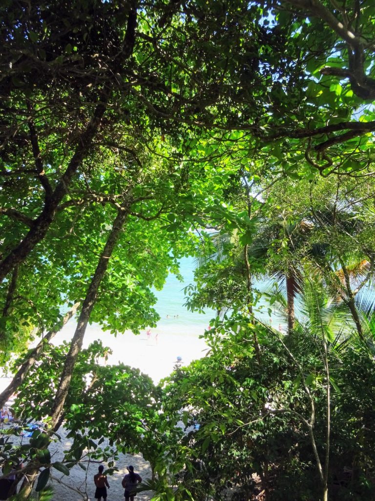 Costa Rica Manuel Antonio National park land6