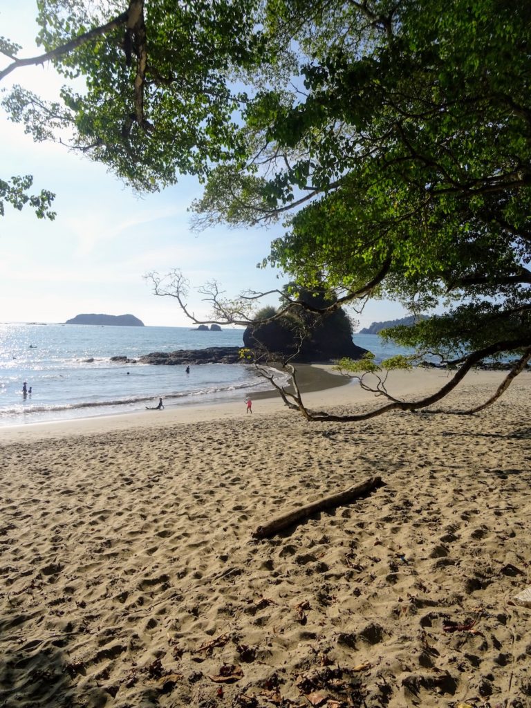 Costa Rica Manuel Antonio National park land8