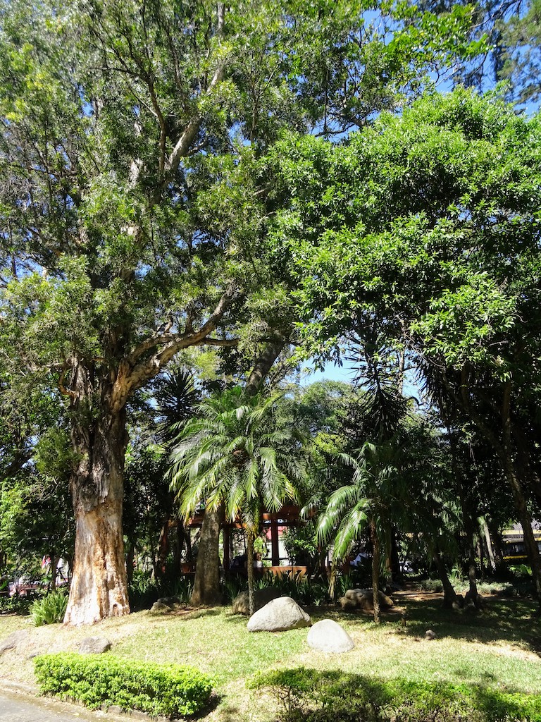 Costa Rica San Jose National Garden Stone