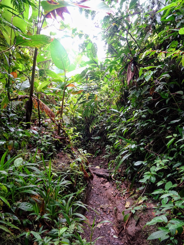 Costa Rica Arenal Cerro Chato trail descente 4