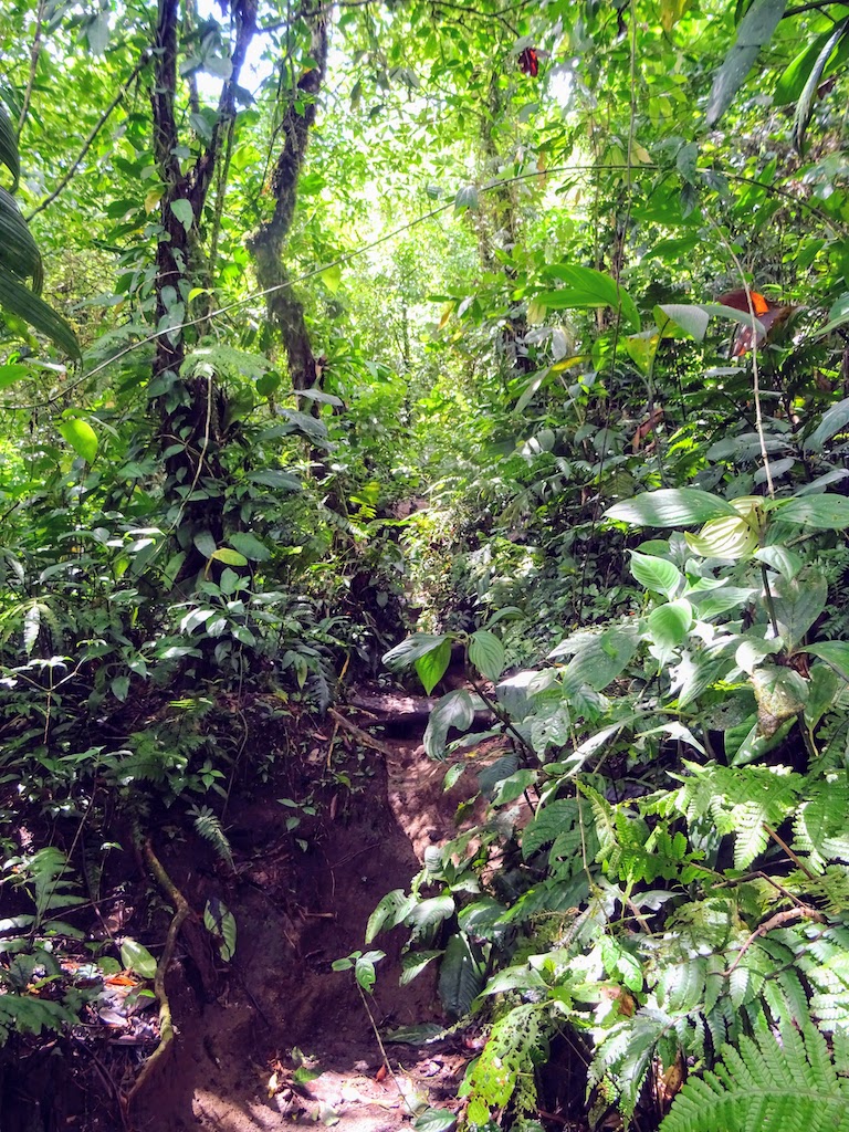 Costa Rica Arenal Cerro Chato trail up 8