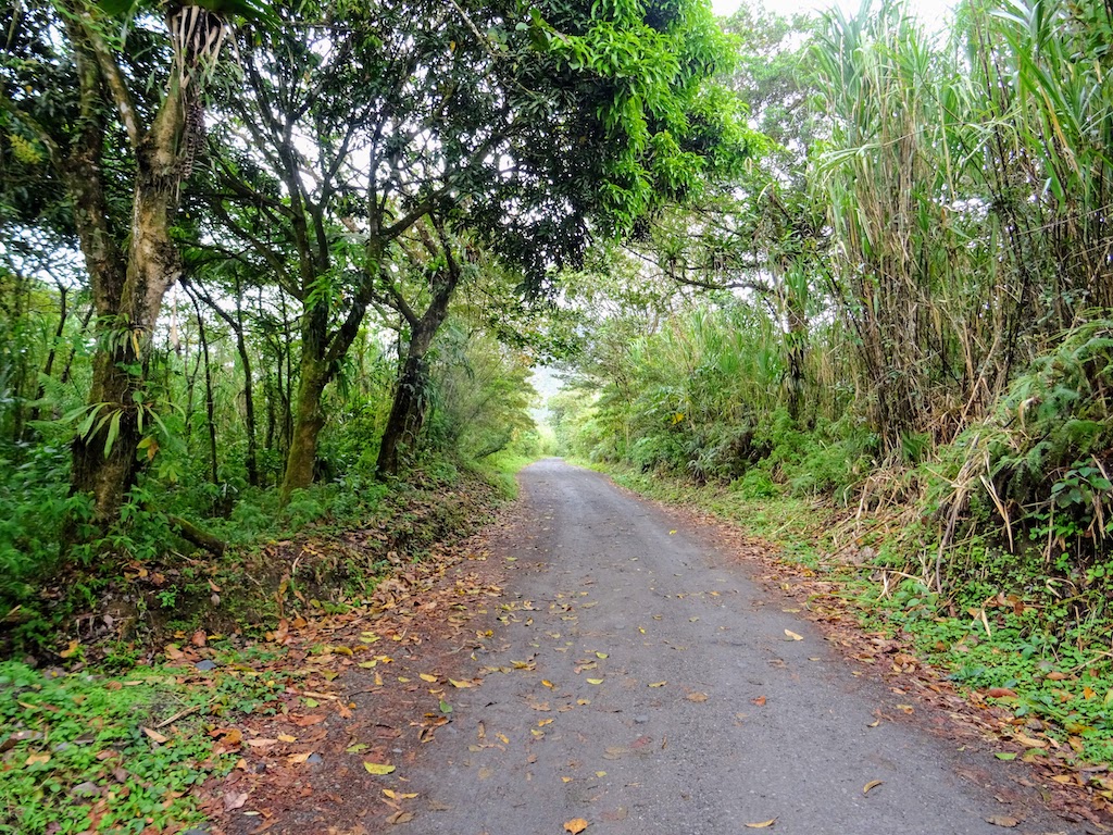 Costa Rica Arenal national park mirador road