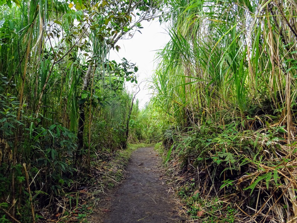 Costa Rica Arenal national parc trail 0