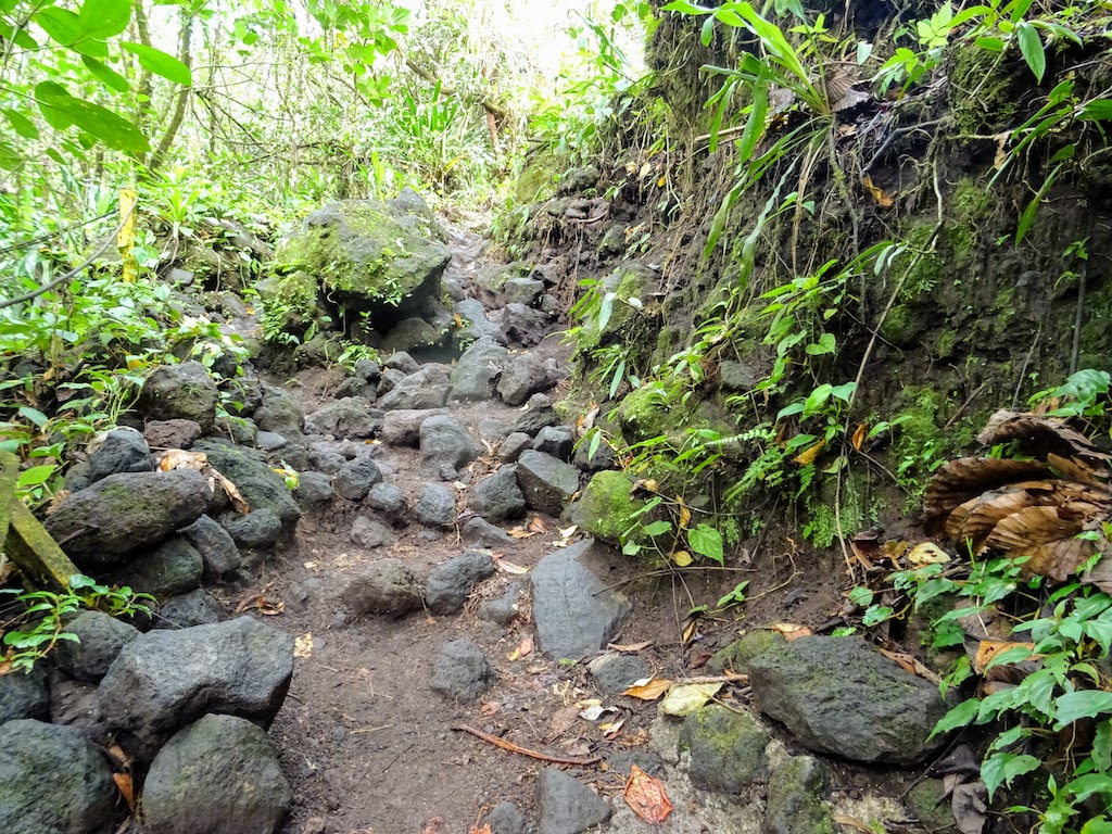 Costa Rica Arenal national parc trail 2