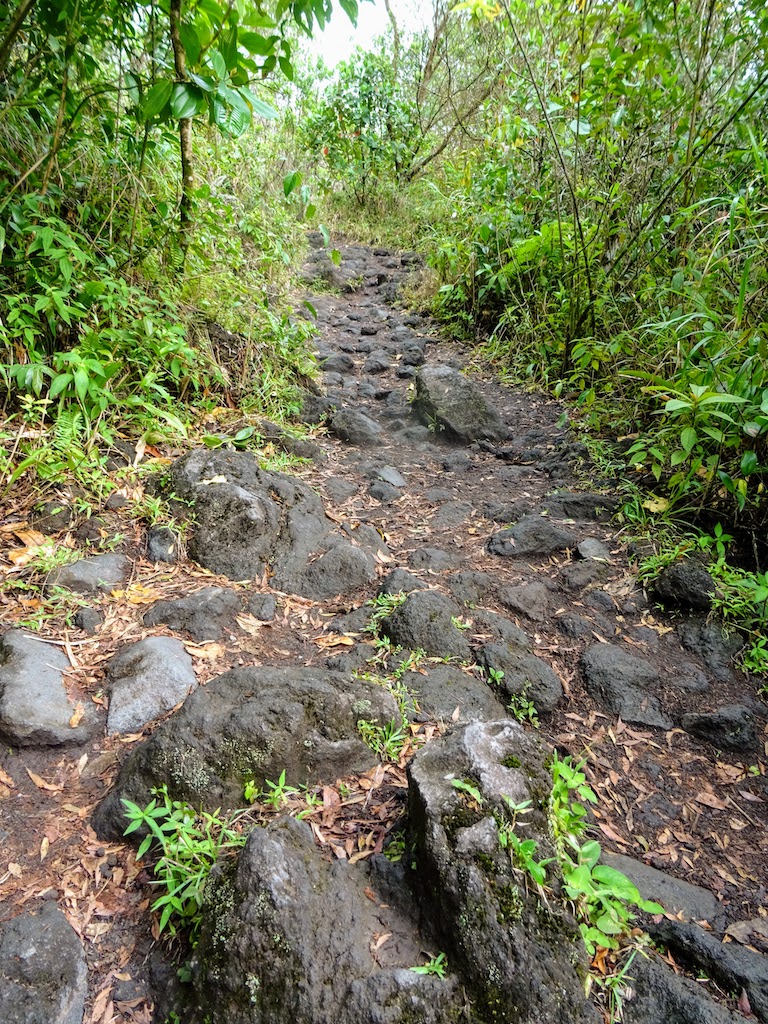 Costa Rica Arenal national park trail 3