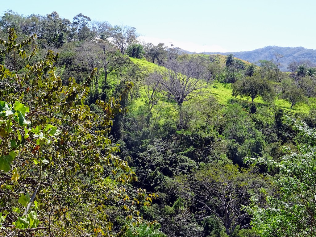 Costa Rica Monteverde paysage