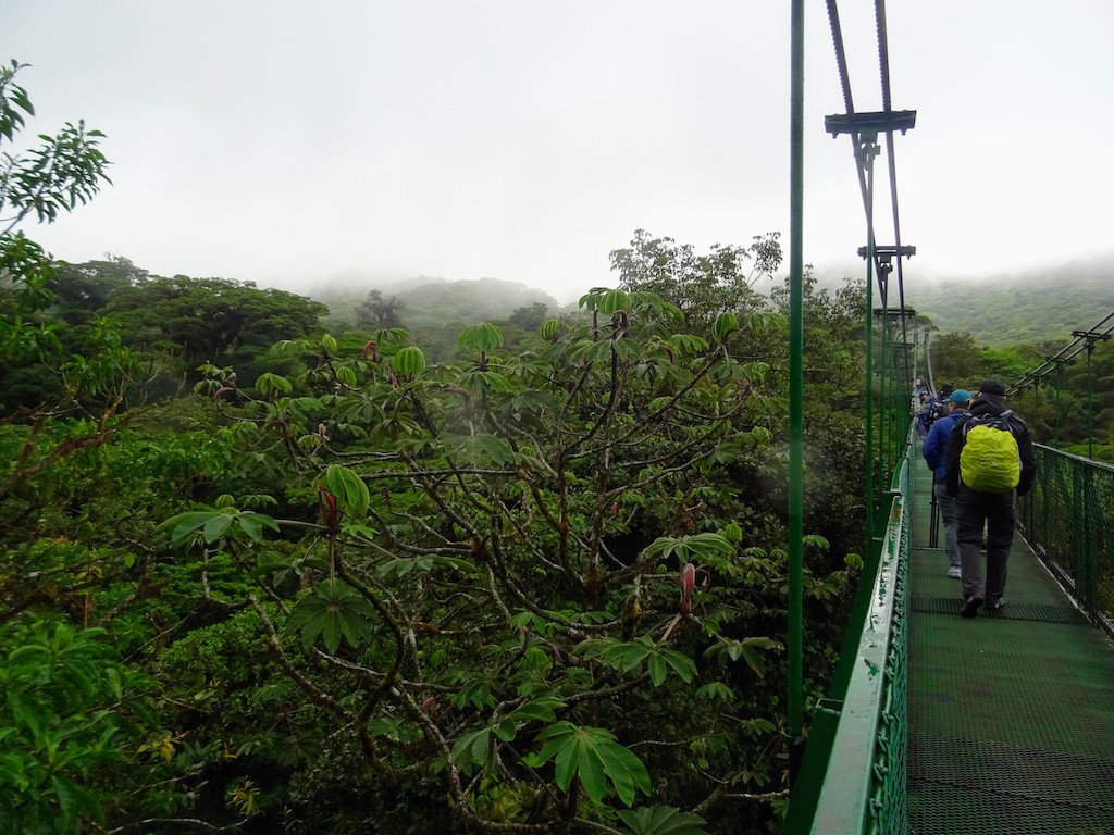 Costa Rica Monteverde Selvatura parc pont