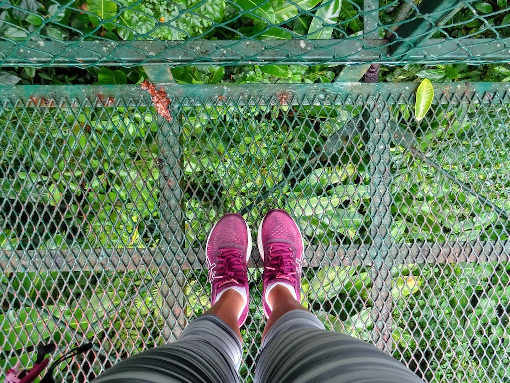 Costa Rica Monteverde Selvatura parc vue en bas 1
