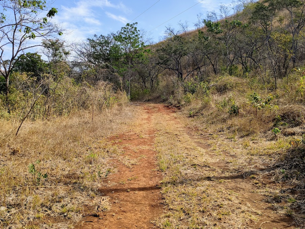 Costa Rica Potrero Trail Nature