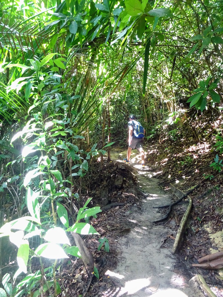 Malaisie Penang Hill jungle chemin