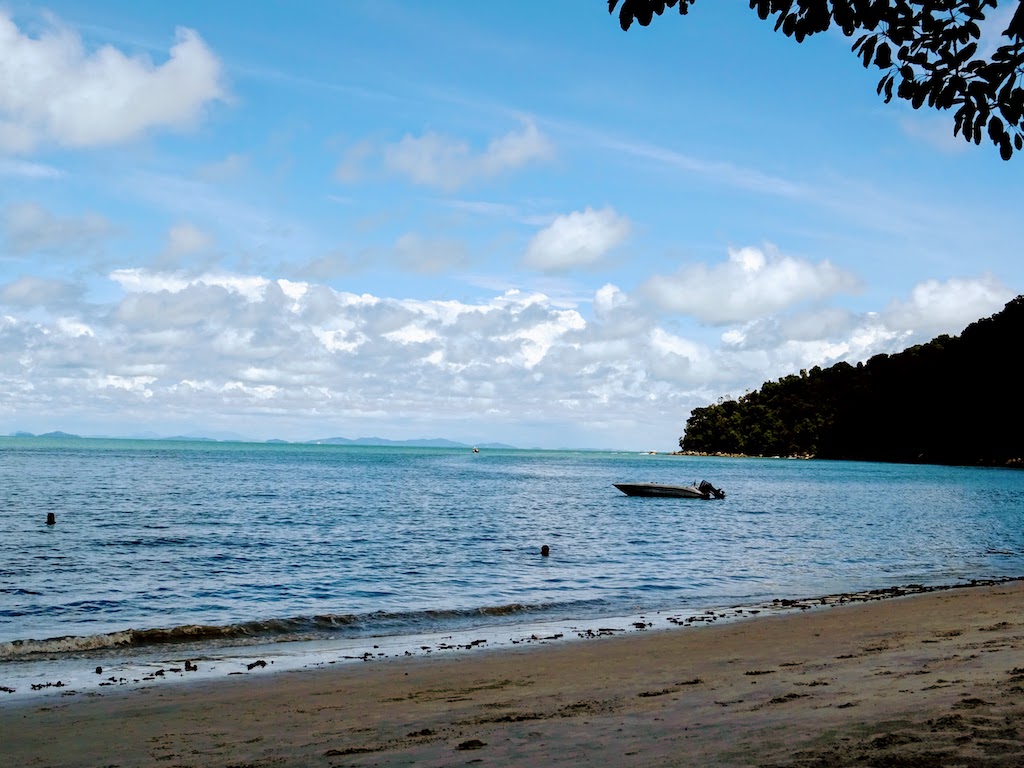 Malaisie Penang Parc National Plage singes1