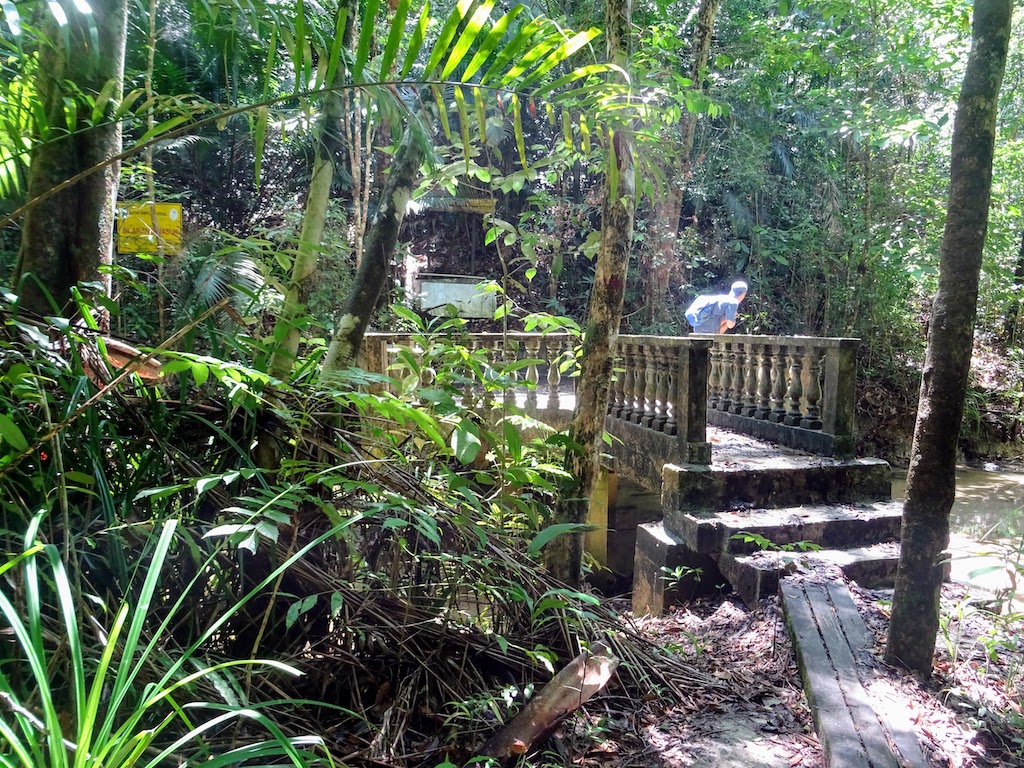 Malaysia Penang National park view3