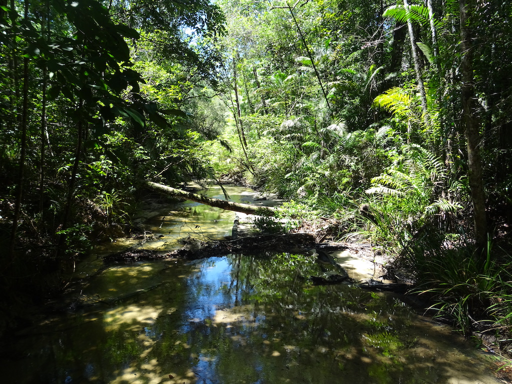 Malaisie Penang parc national vue4