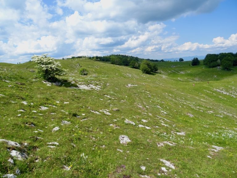 Visit France Hiking "Le Grand Colombier" Hop On My Journey