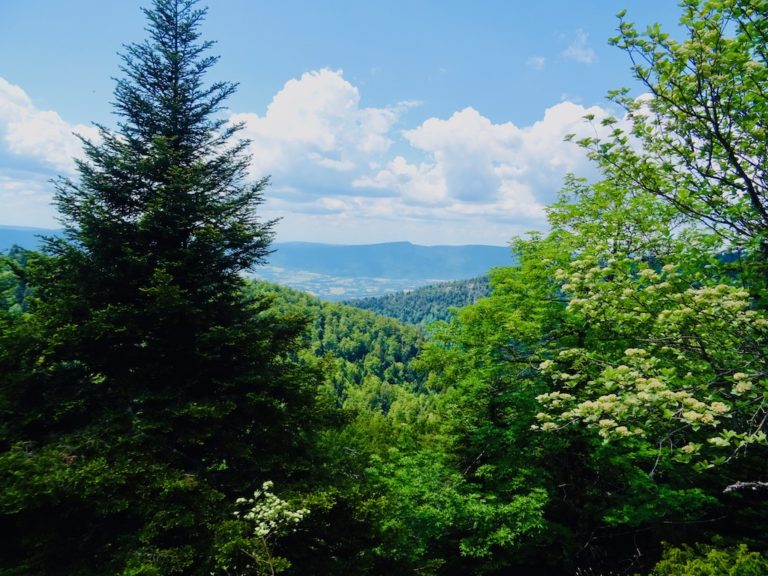 Visit France Hiking "Le Grand Colombier" Hop On My Journey