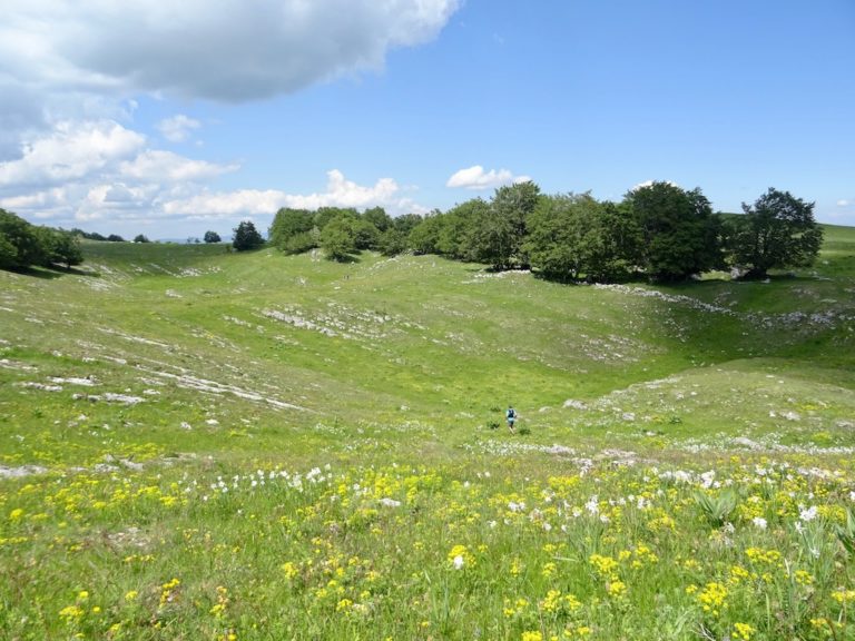 Visit France Hiking "Le Grand Colombier" Hop On My Journey