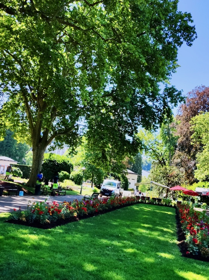 France Aix-les-Bains Fleurs parc thermal